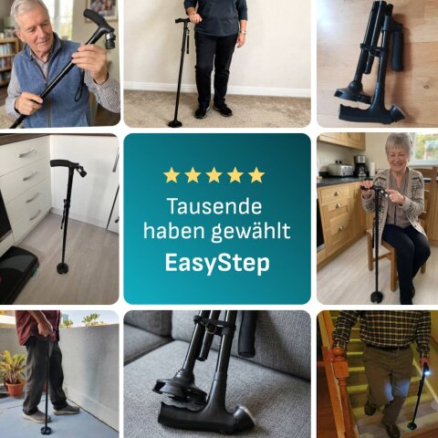 EasyStepPro image