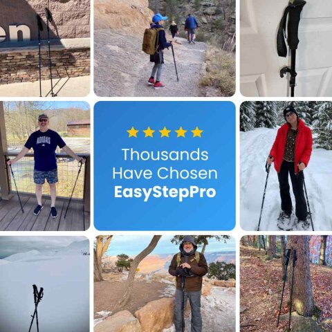 EasyStepPro image